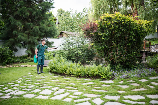 Best Local Pest Control Services  in Shakopee, MN