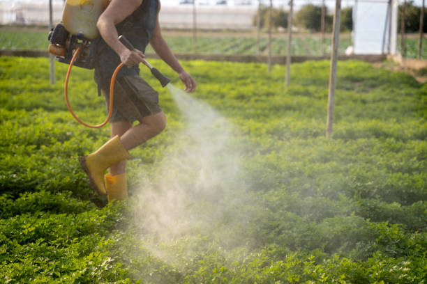 Best Pest Removal Services  in Shakopee, MN